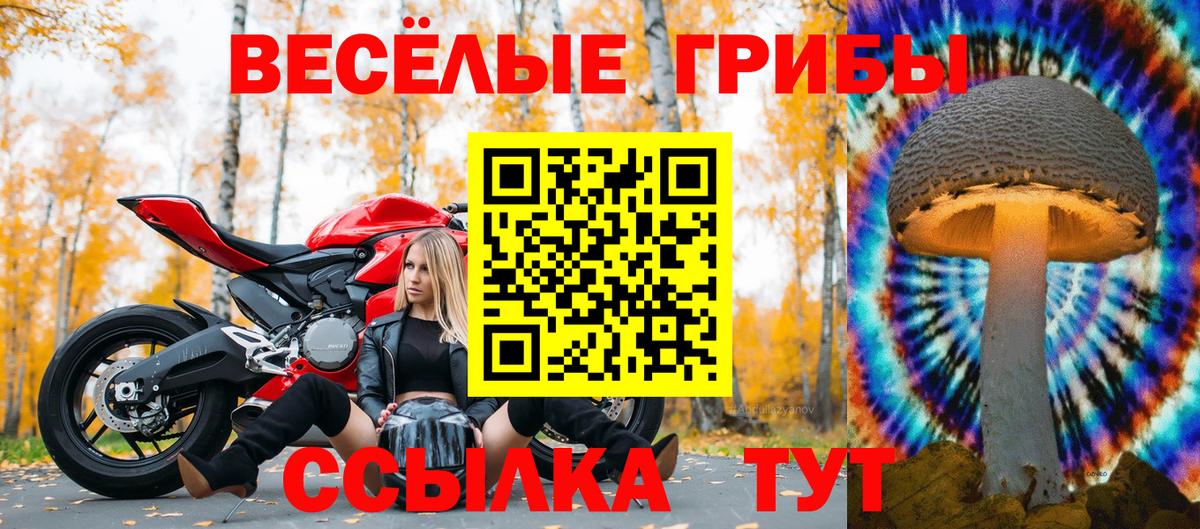 Галлюциногенные грибы мицелий  Вход с VPN  Домодедово 