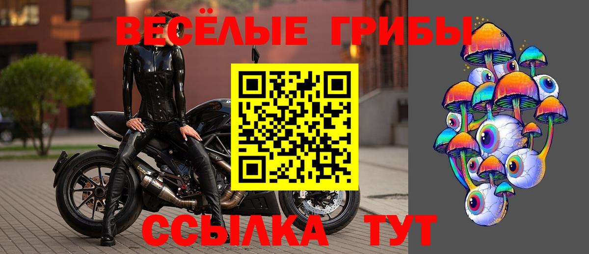 Галлюциногенные грибы прущие грибы Домодедово